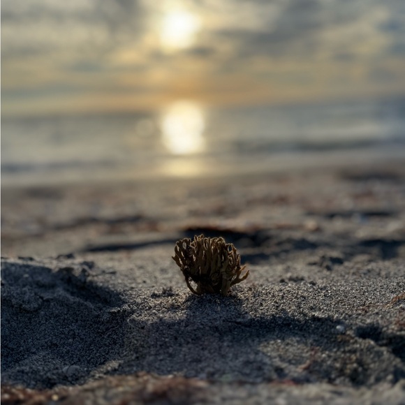 Meet your Posher, MJ - Picture 11 of 13